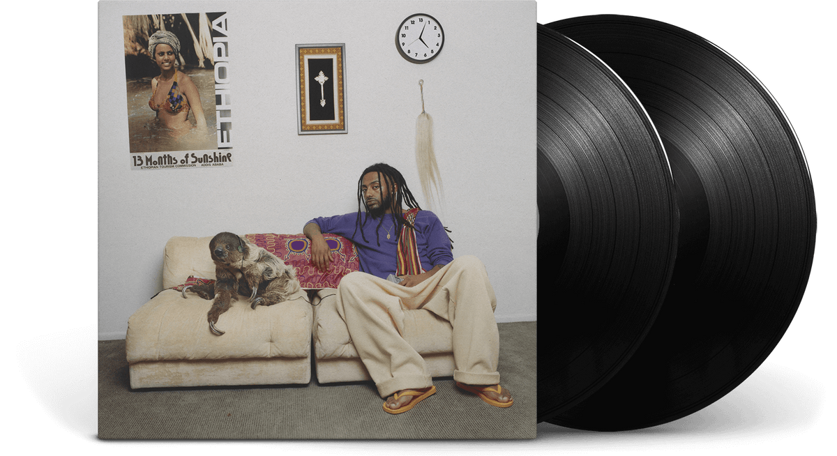 Vinyl - Aminé : 13 Months of Sunshine - The Record Hub