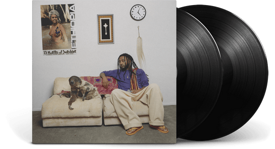 Aminé : 13 Months of Sunshine