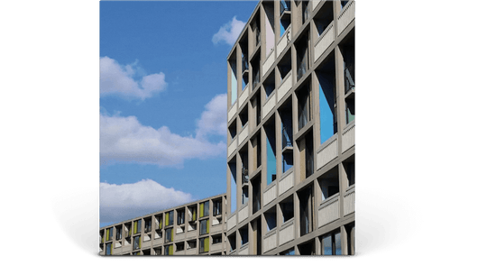 The Wedding Present : 24 Songs (Solid Grey 3LP)