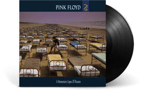 Pink Floyd : A Momentary Lapse of Reason