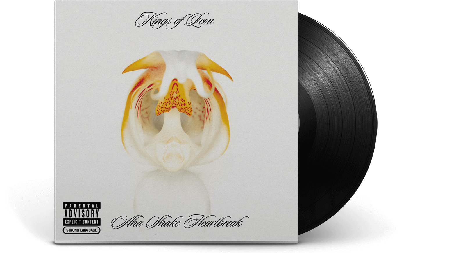 Vinyl - Kings Of Leon : Aha Shake Heartbreak - The Record Hub