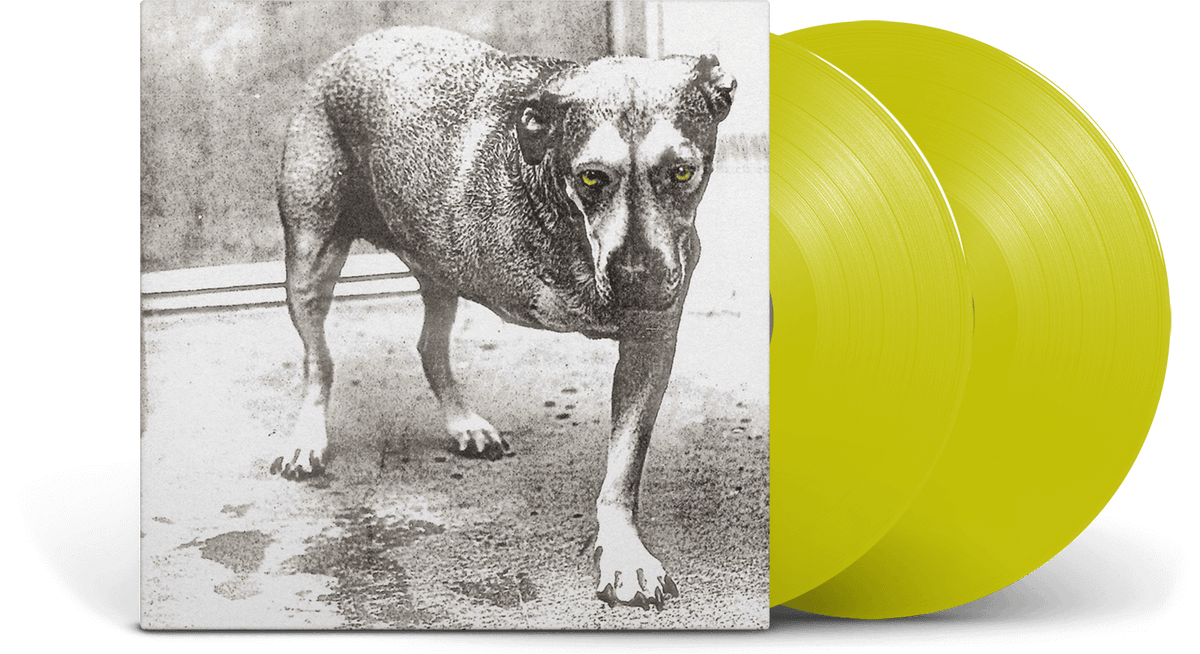 [Pre-Order [30/01] Alice in Chains : Alice in Chains - 30th Anniverary (Yellow Vinyl)
