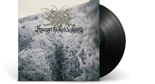 Signs of the Swarm : Amongst The Low & Empty