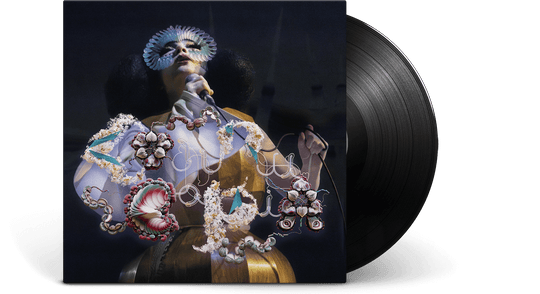 Björk : Cornucopia Live