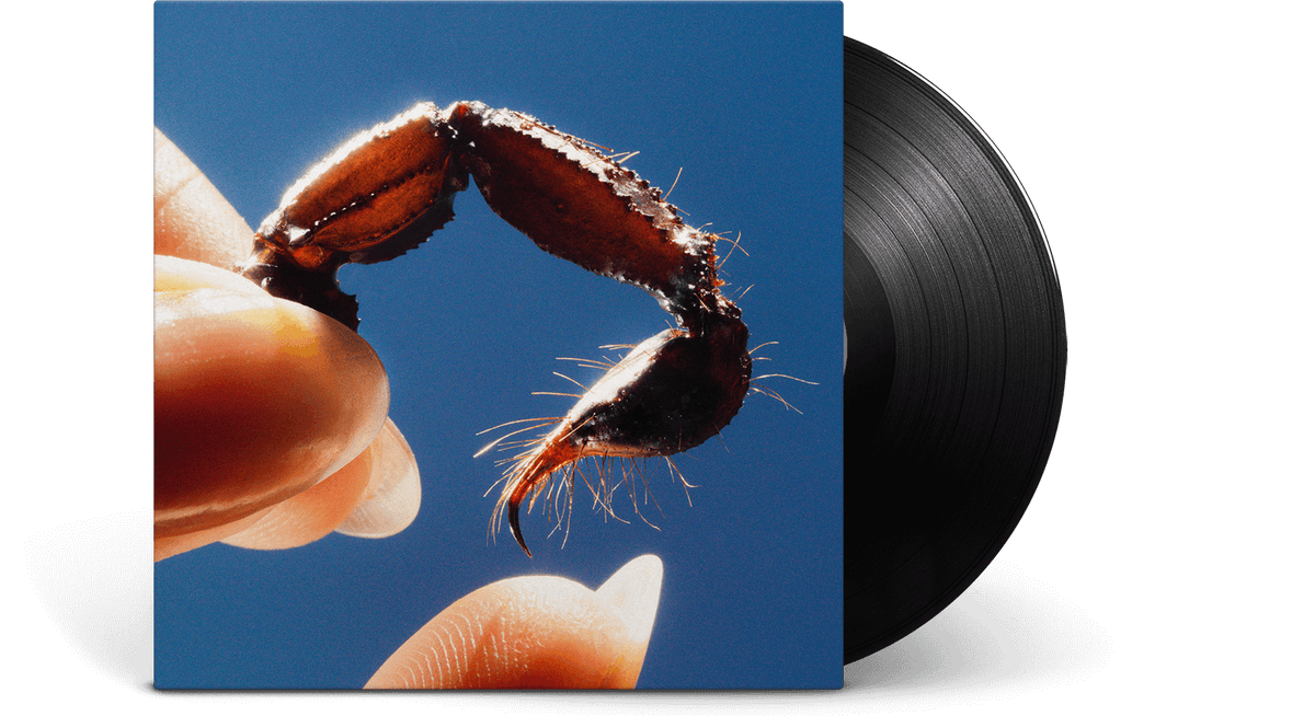 Vinyl - Squid : Cowards - The Record Hub