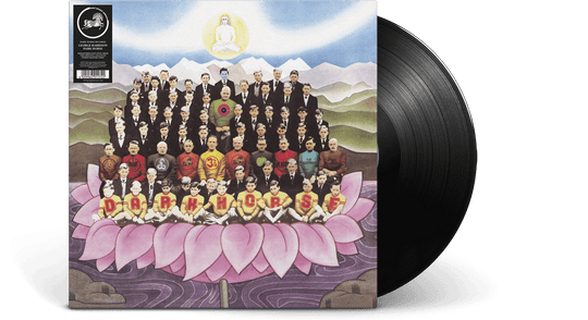 George Harrison : Dark Horse (180g Vinyl)