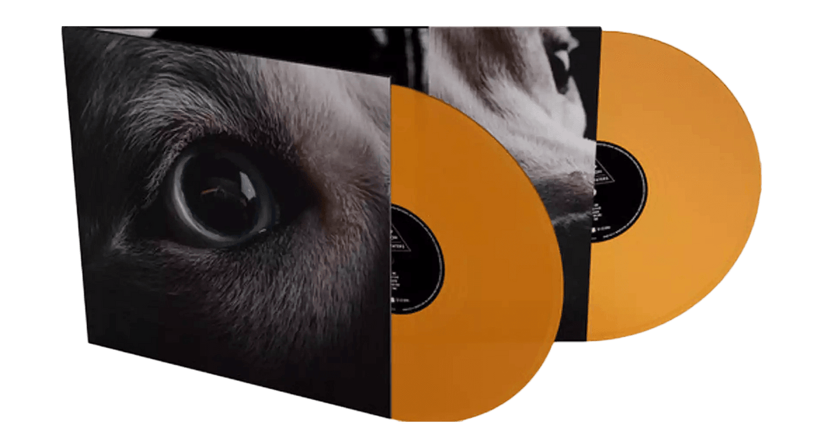 Vinyl - Roger Waters : Dark Side Of The Moon Redux  (Orange Vinyl) - The Record Hub