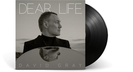 David Gray : Dear Life