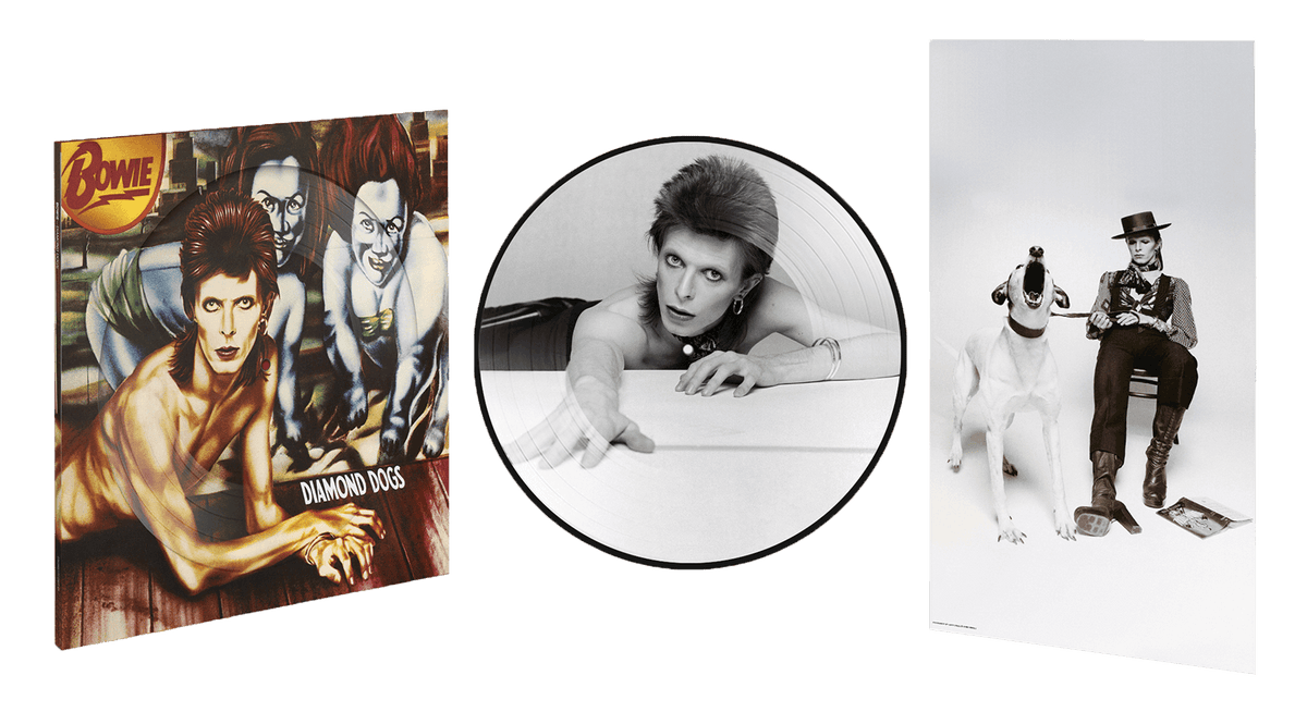 Vinyl - [Pre-Order 25/05] David Bowie : Diamond Dogs Anniversary 50th (Picture Disc) - The Record Hub