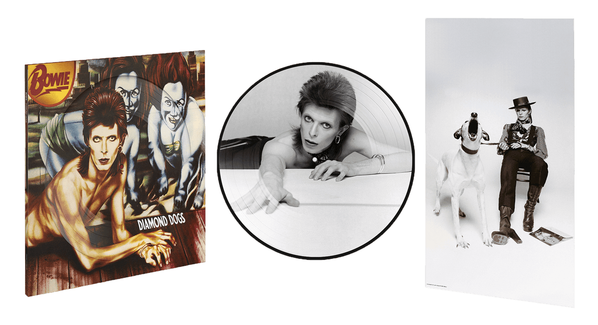 Vinyl - David Bowie : Diamond Dogs Anniversary 50th (Picture Disc) - The Record Hub