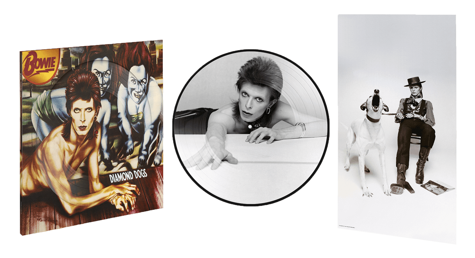 Vinyl - David Bowie : Diamond Dogs Anniversary 50th (Picture Disc) - The Record Hub