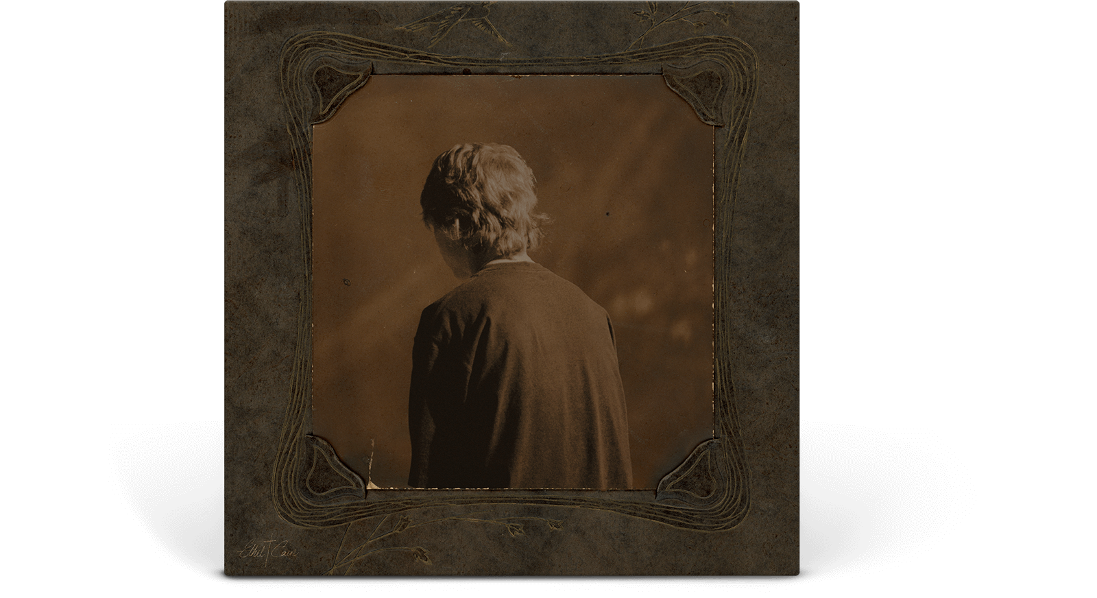 Vinyl - Ethel Cain : Willoughby Tucker, I'll Always Love You - The Record Hub