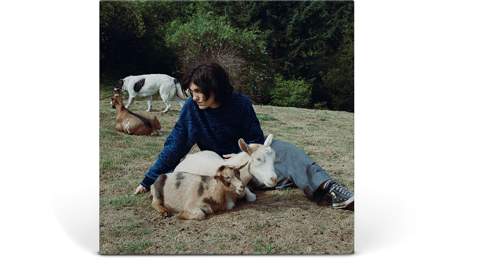 Vinyl - Searows : End Of The World (Swamp Green Vinyl) - The Record Hub