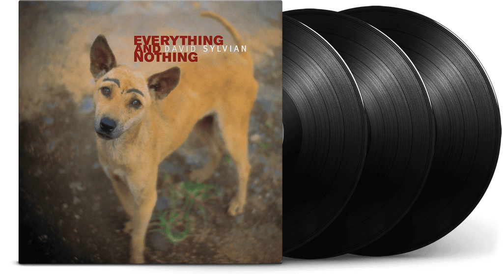 DAVID SYLVIAN EVERYTHING & NOTHING TRIPLE LP VINYL 3LP set