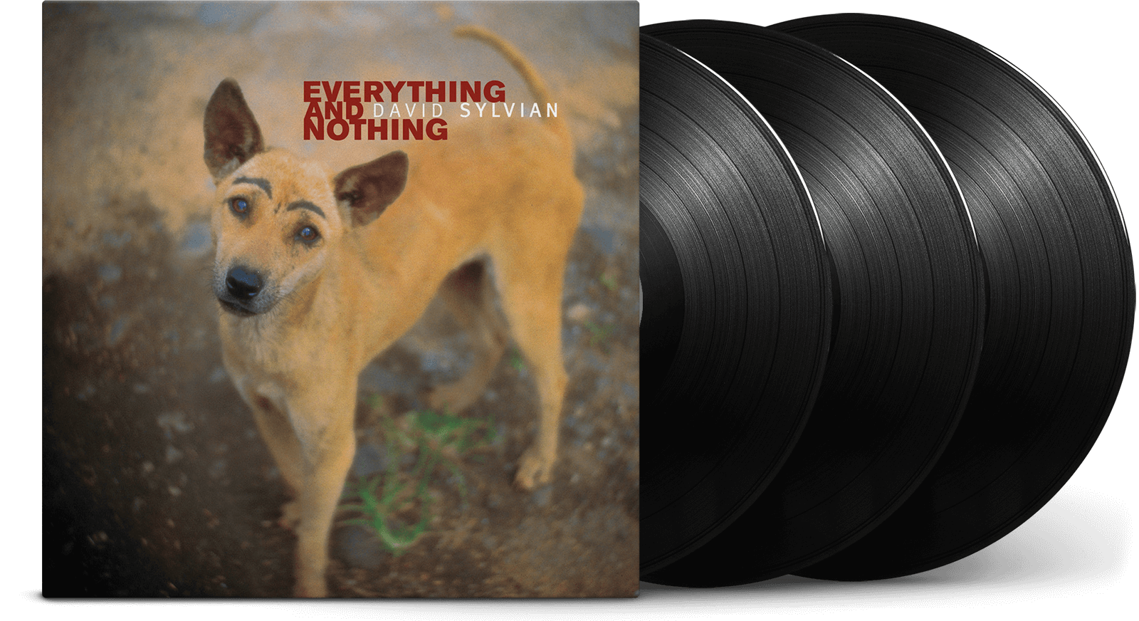 Vinyl | David Sylvian | Everything & Nothing Vinyl | David Sylvian | Everything & Nothing