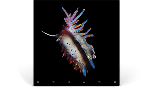 Sub Focus : Evolve (Ltd Lenticular Vinyl)