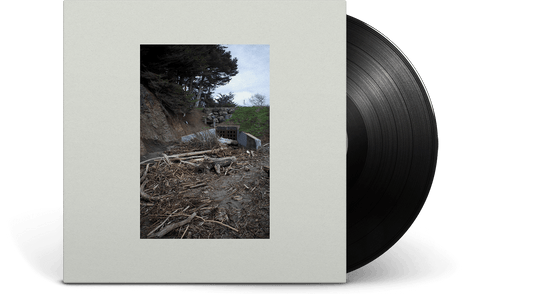 Mac DeMarco : Five Easy Hot Dogs