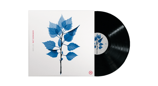 Matt Berninger : Get Sunk