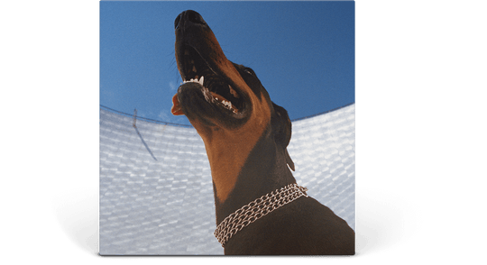 Overmono : Good Lies (Crystal Clear Vinyl)