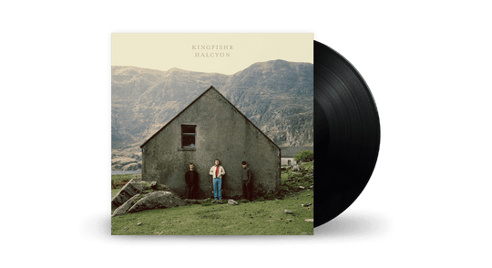 Kingfishr : Halcyon