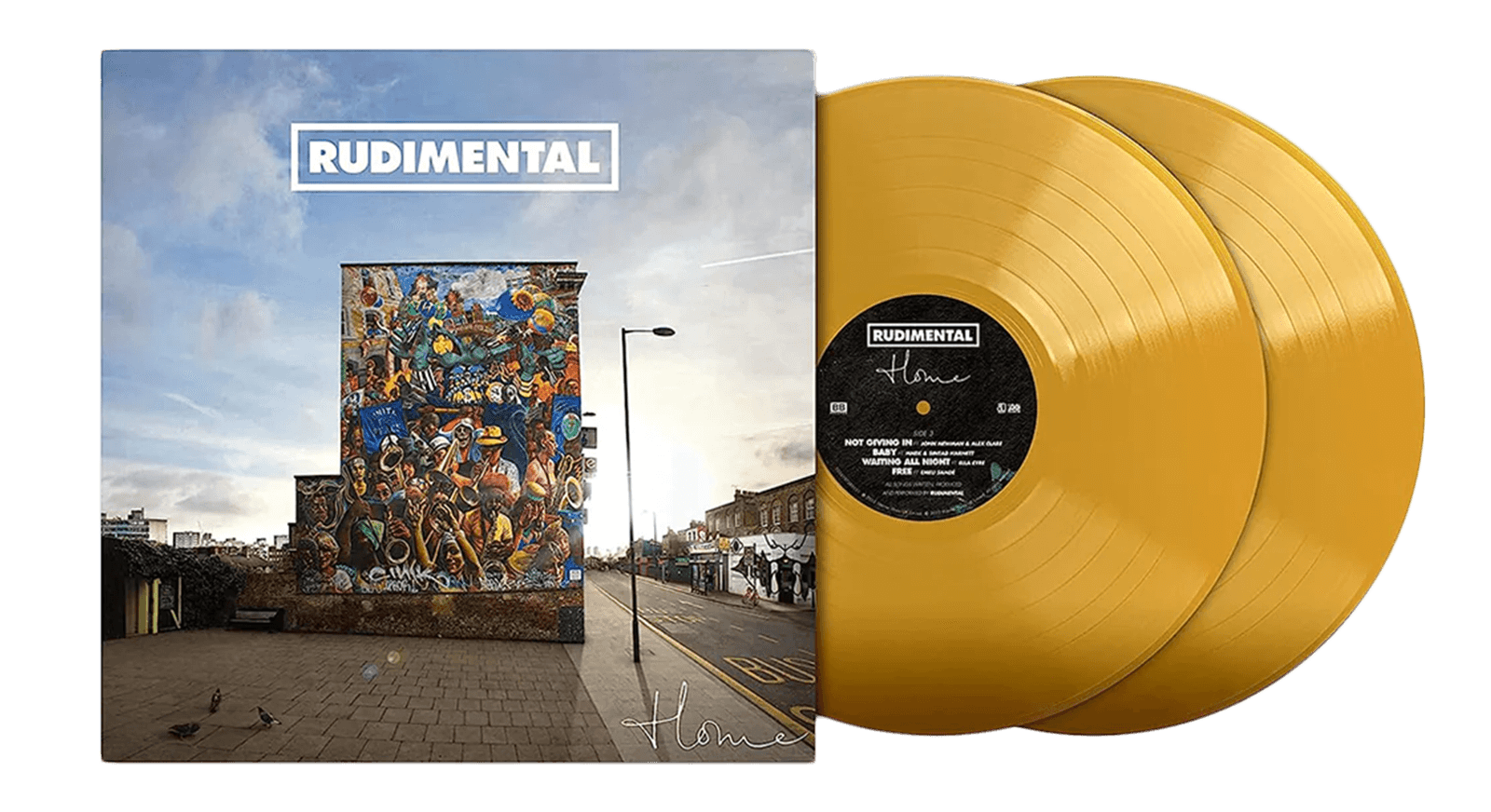 Vinyl - Rudimental : Home - The Record Hub