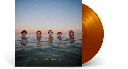 Delights : If Heaven Looks A Little Like This (Orange Vinyl)