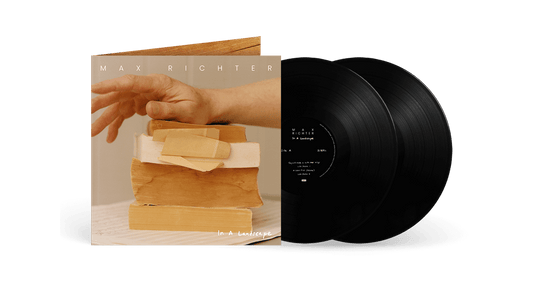 Max Richter : In A Landscape