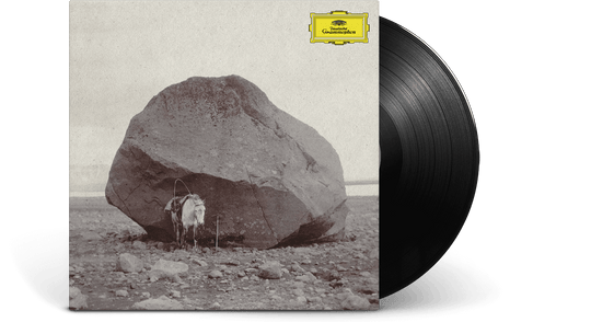 Snorri Hallgrímsson : Longer Shadows, Softer Stones