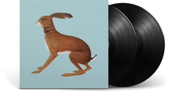 Vashti Bunyan : Lookaftering – Expanded Edition