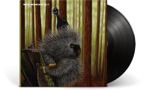 Madlib : Low Budget High Fi Music