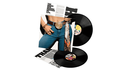 The Brand New Heavies : Never Stop... The Best Of (Double LP)