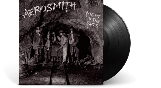 Aerosmith : Night In The Ruts