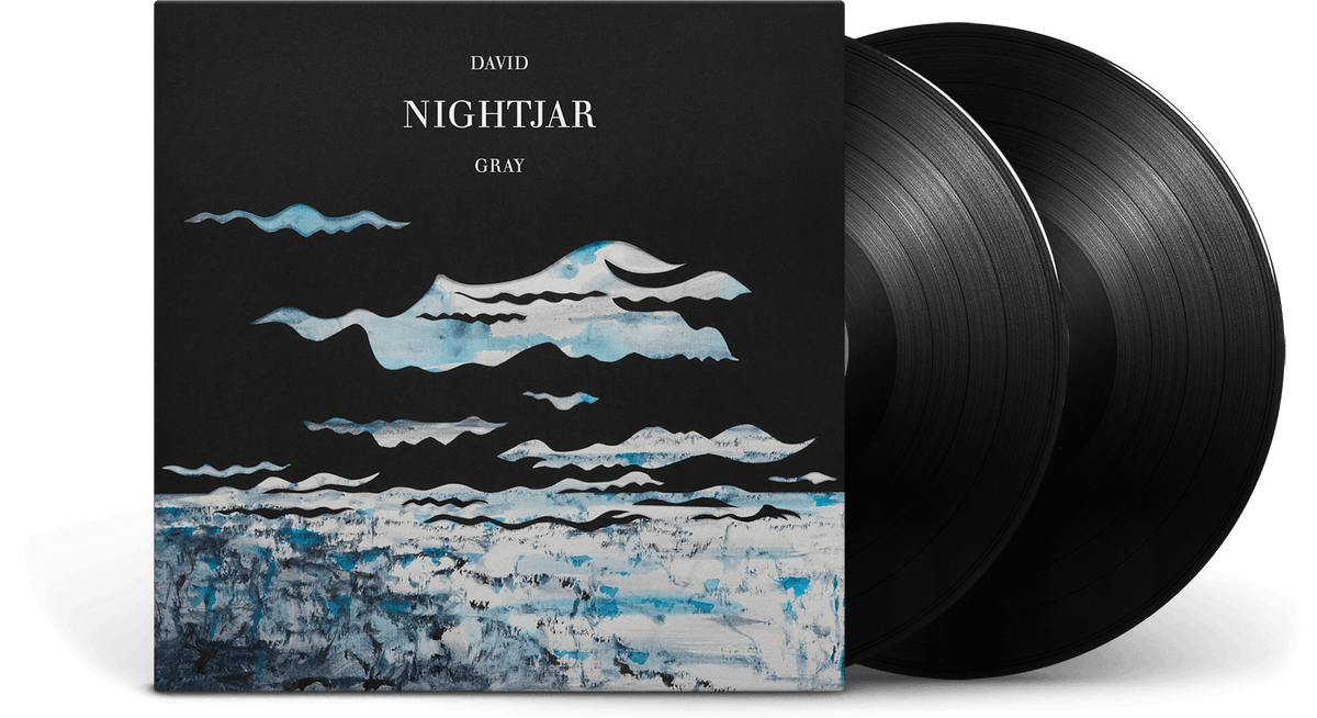 David Gray : Nightjar