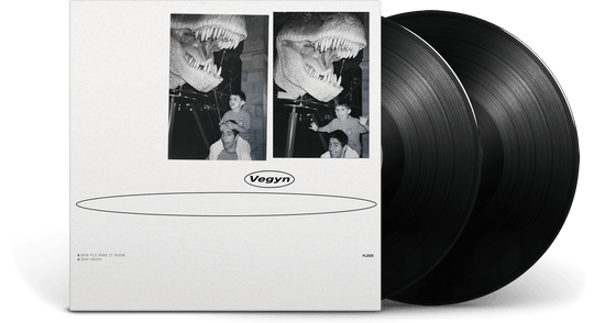 Vegyn : Only Diamonds Cut Diamonds (5 Year Anniversary Repress)