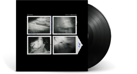 John Fahey : Proofs and Refutations