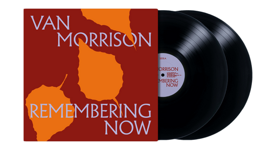 Van Morrison : Remembering Now