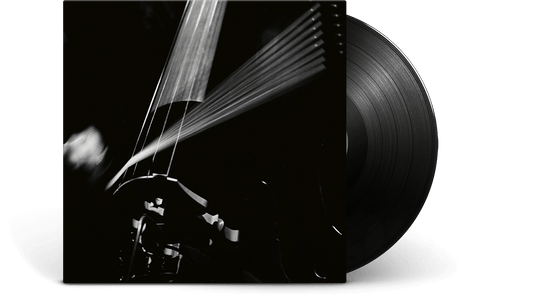 Arnold Dreyblatt & The Orchestra of Excited Strings : Resolve