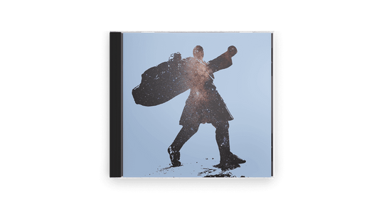 The Beautiful Road : Ronan Snodaigh & Myles O Reilly (CD)