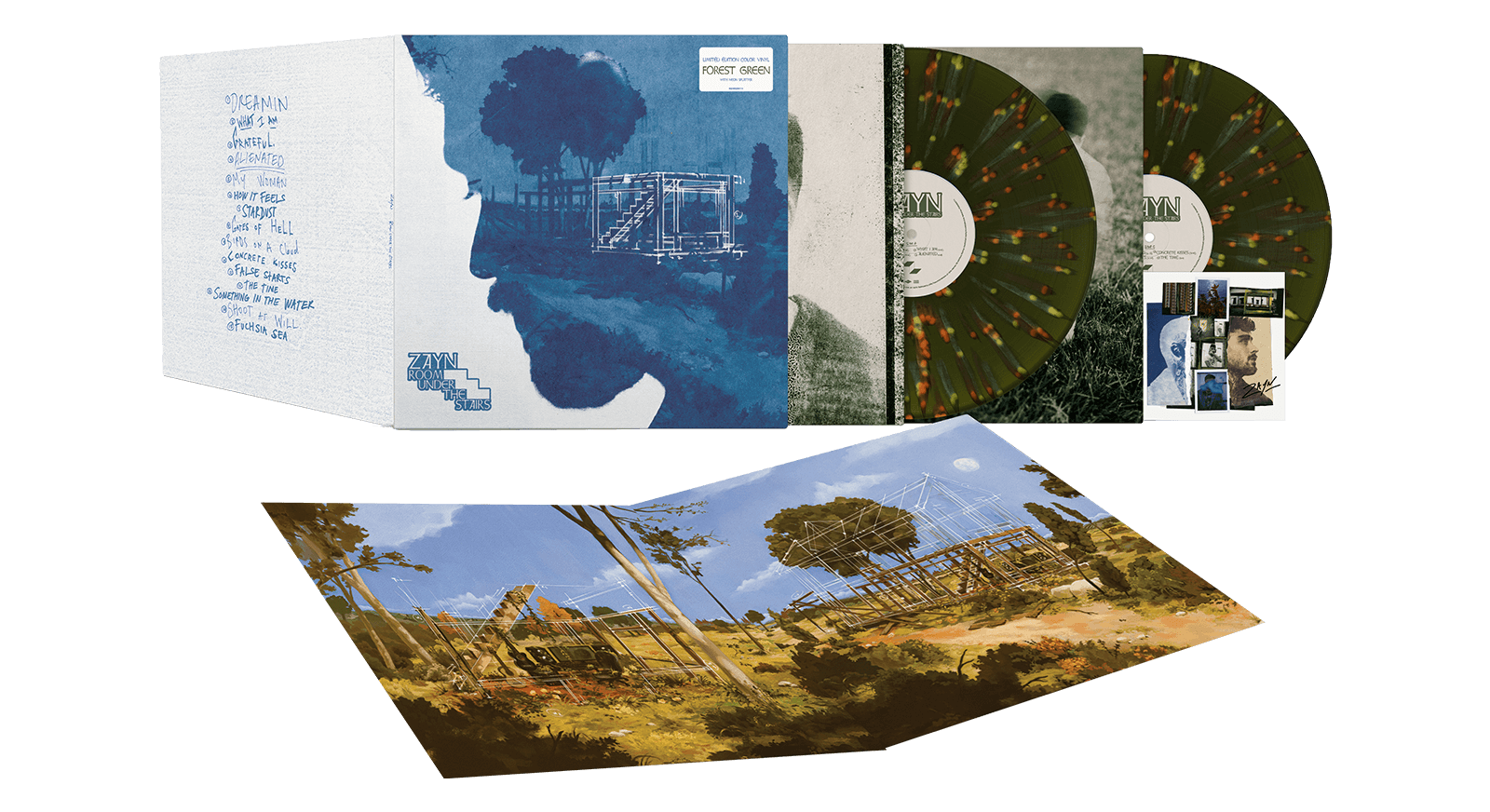 Vinyl - ZAYN : Room Under the Stairs (Forest Green Vinyl) - The Record Hub