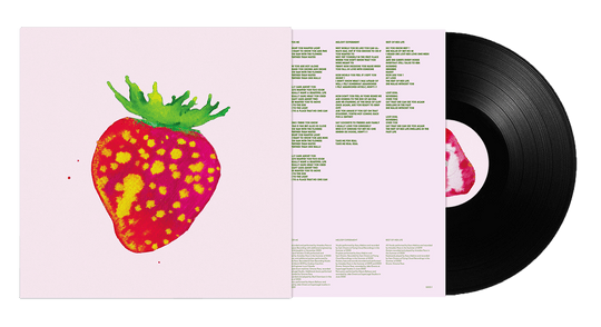 Blonde Redhead : Sit Down for Dinner