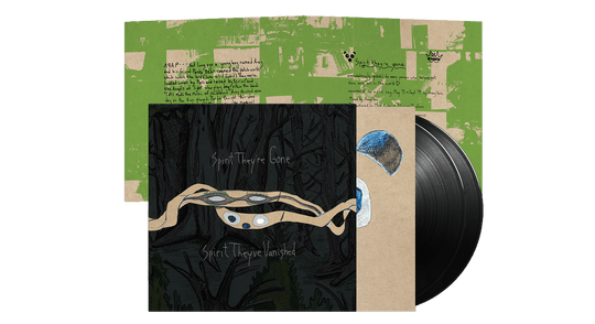 Animal Collective : Spirit They're Gone, Spirit They've Vanished (2023 Remaster)