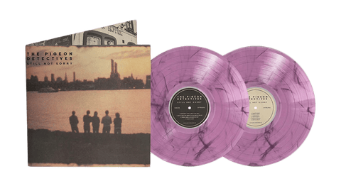 Vinyl - The Pigeon Detectives : Still Not Sorry - The Best Of (Purple & Black Marble Vinyl) - The Record Hub