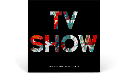 The Pigeon Detectives : TV Show