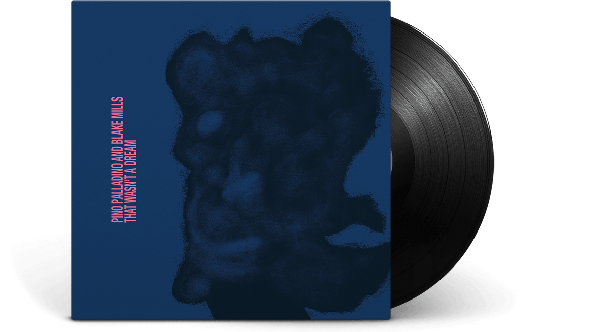 Vinyl - Pino Palladino &amp; Blake Mills : That Wasn&#39;t a Dream - The Record Hub