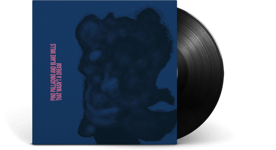Pino Palladino & Blake Mills : That Wasn't a Dream
