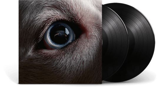 Roger Waters : The Dark Side of the Moon Redux