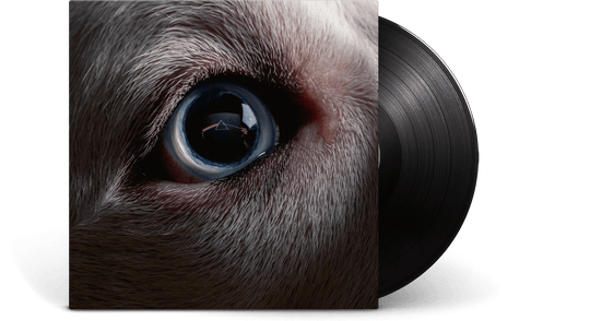 Roger Waters : The Dark Side of the Moon Redux