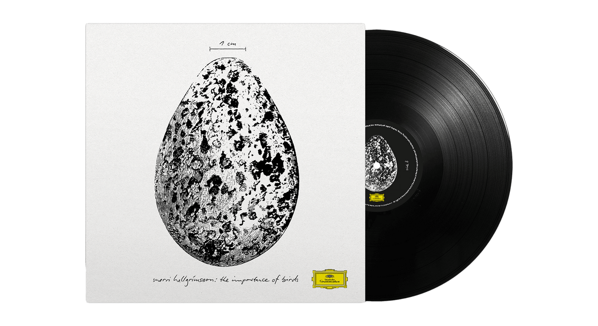 Snorri Hallgrímsson : The Importance of Birds