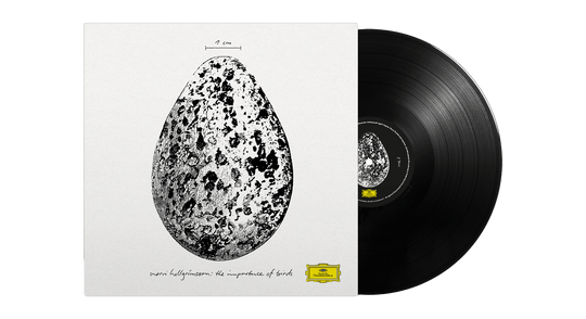 Snorri Hallgrímsson : The Importance of Birds