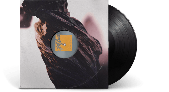 Pixies : The Night The Zombies Came